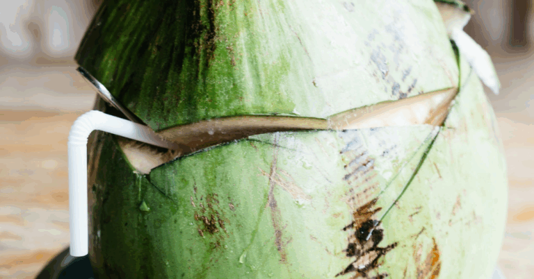 coconut mojito